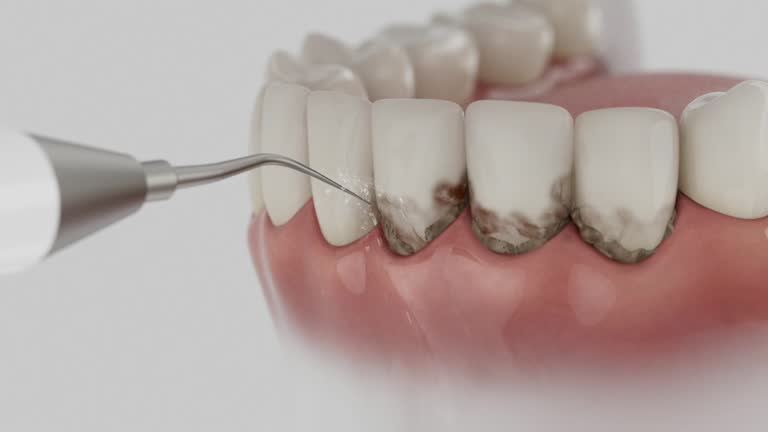 Reliable Dental contractor in San Rafael, CA by Dentist Open Now